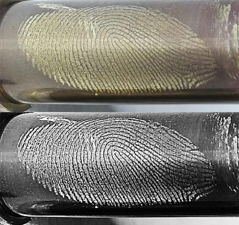 Bullet Casing With Fingerprint