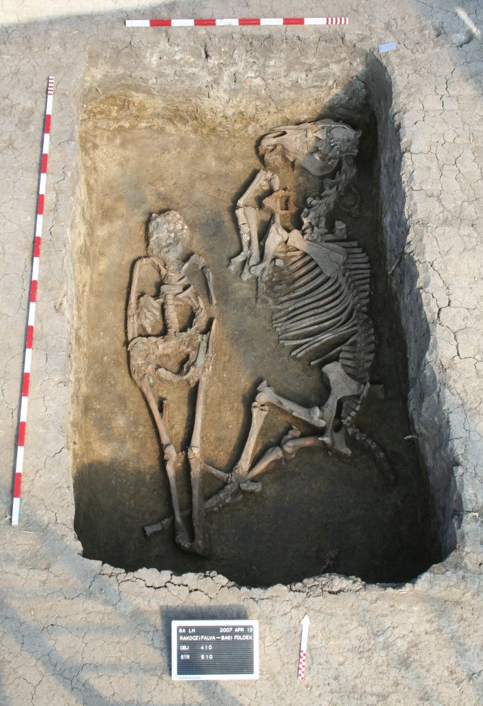 Burial with a Horse at the Rákóczifalva Site