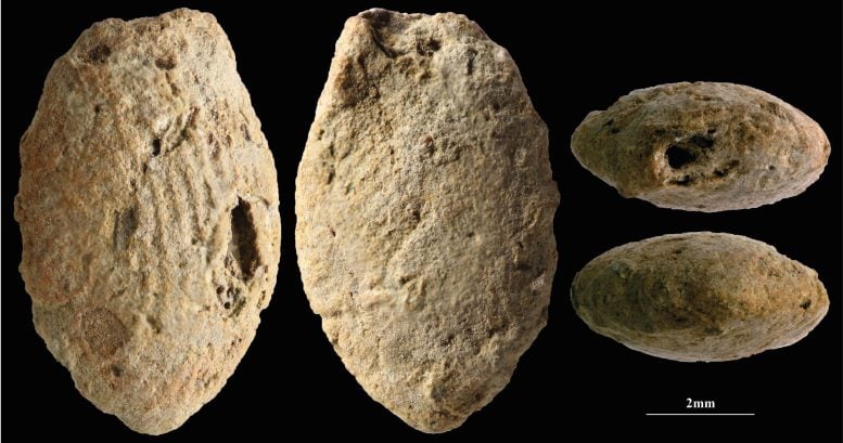 This 15,000-Year-Old Discovery Changes What We Know About Early Human Creativity
