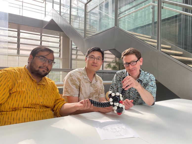 C48 Research Group