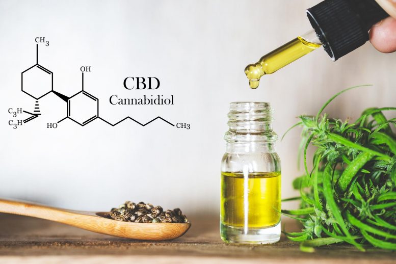 CBD Oil in Cooking