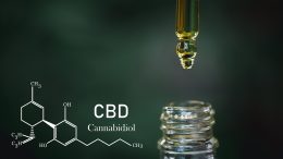 CBD Cannabidiol Science