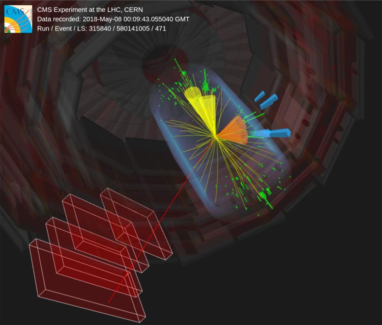 CMS Quantum Entanglement Between the Top Quark and Its Antiparticle