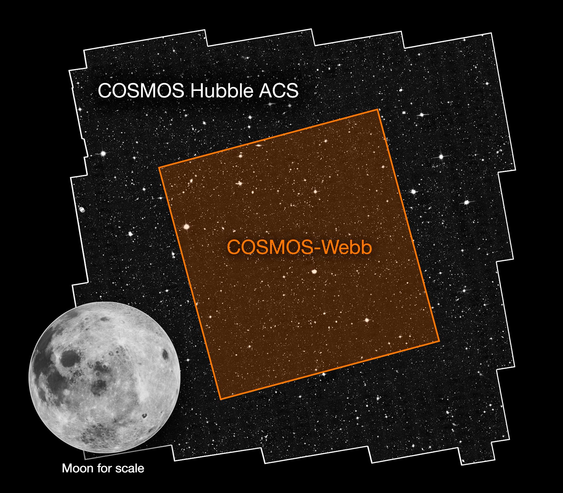 Cartographier les structures élémentaires de l’univers et la distribution de la matière noire à l’aide de COSMOS-Webb