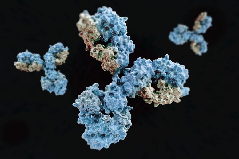 COVID-19 Antibody Concept