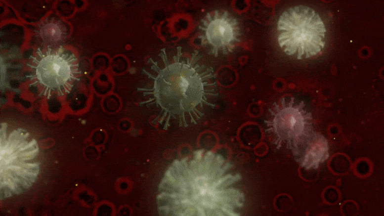COVID 19 Coronavirus Animation