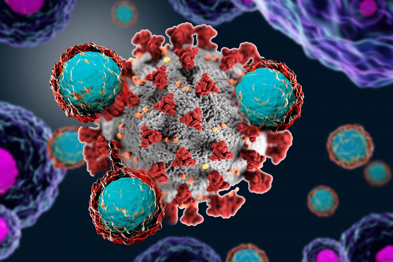 Generic BCG Vaccine Could Be Effective Against COVID19