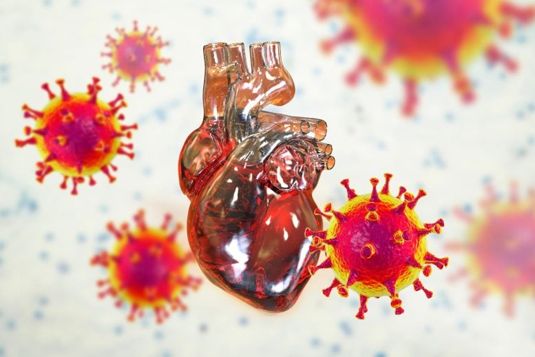 Stanford Scientists Discover Why mRNA-Based COVID-19 Vaccines Can Cause Myocarditis