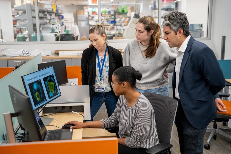 Ricercatori sul vaccino mRNA contro il COVID-19