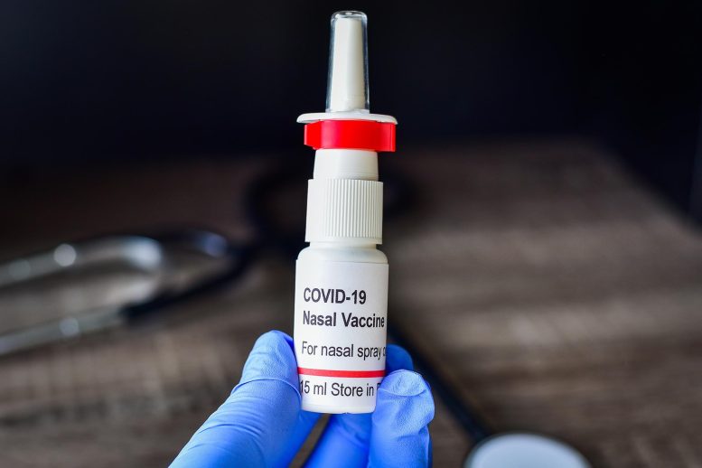COVID Nasal Vaccine