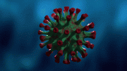 COVID Variant Virus Evolution