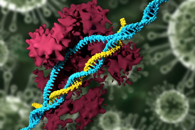 CRISPR-Carrying Nanoparticles Can Edit Genomes