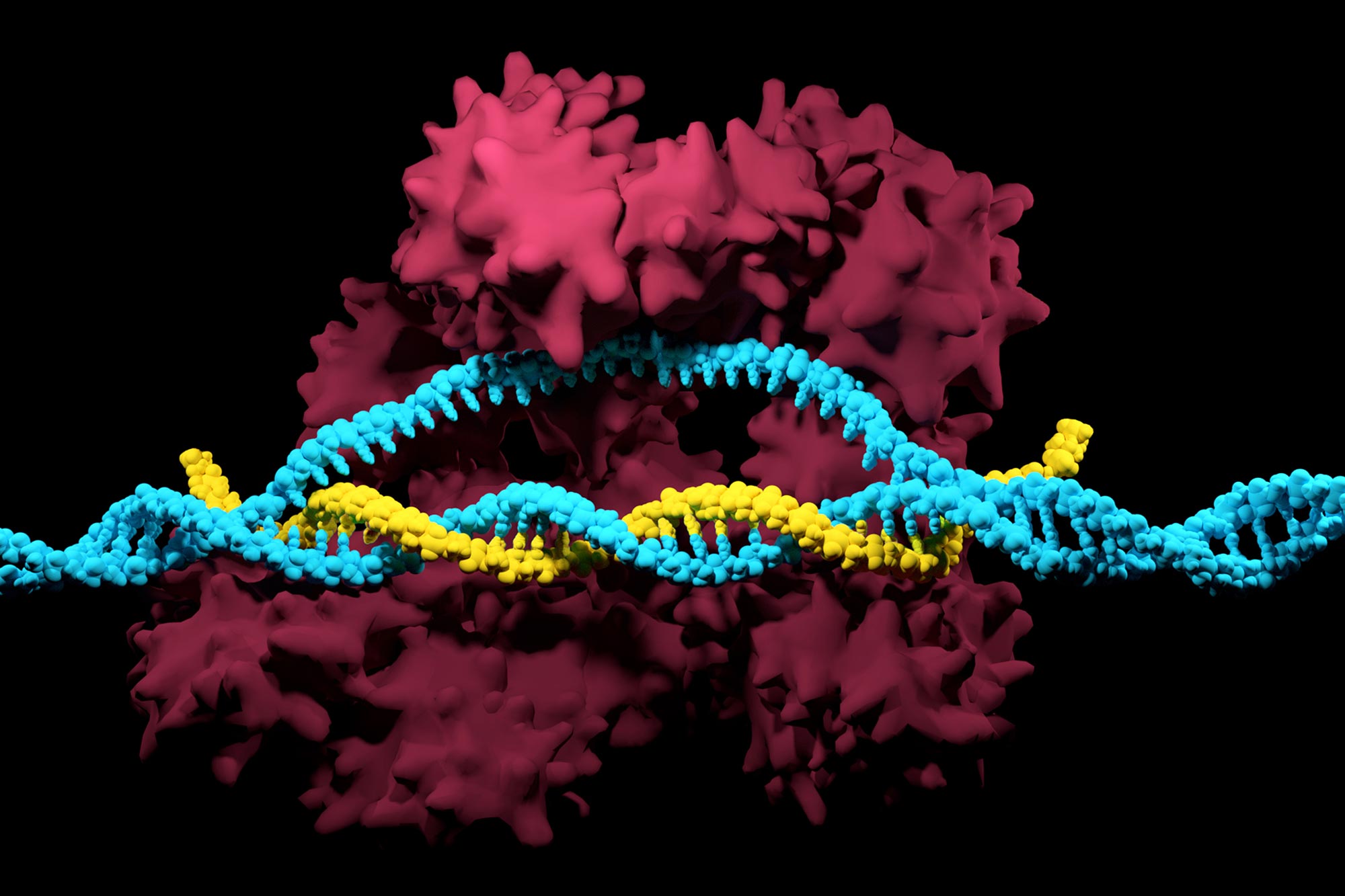Изменение генома клетки. Редактирование Гена CRISPR‐cas9. КРИСПР кас9. Генетика CRISPR. КРИСПР кас9 генная инженерия.