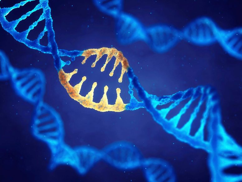 CRISPR Genetik Düzenleme Konsepti