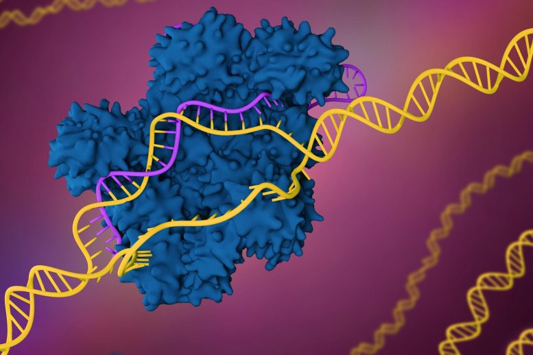 CRISPR Illustration
