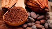 Cacao Fruit Cocoa Beans Powder