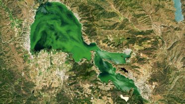California’s Clear Lake Clouded by Algae 2024