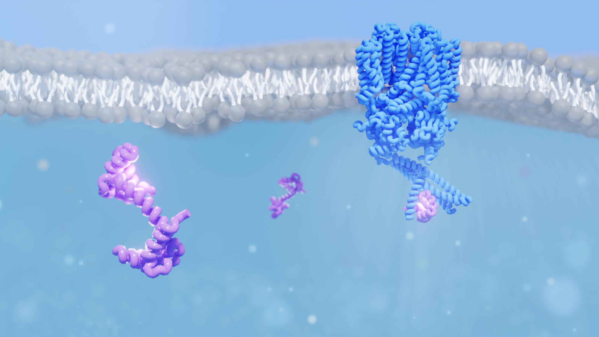 30-Year-Old Eye Mystery Solved – Ion Channel Structure Deciphered