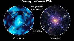 Caltechs Cosmic Web Imager Directly Observes Dim Matter