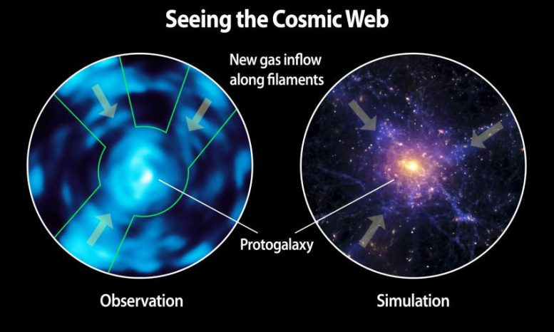 Caltechs Cosmic Web Imager Directly Observes Dim Matter