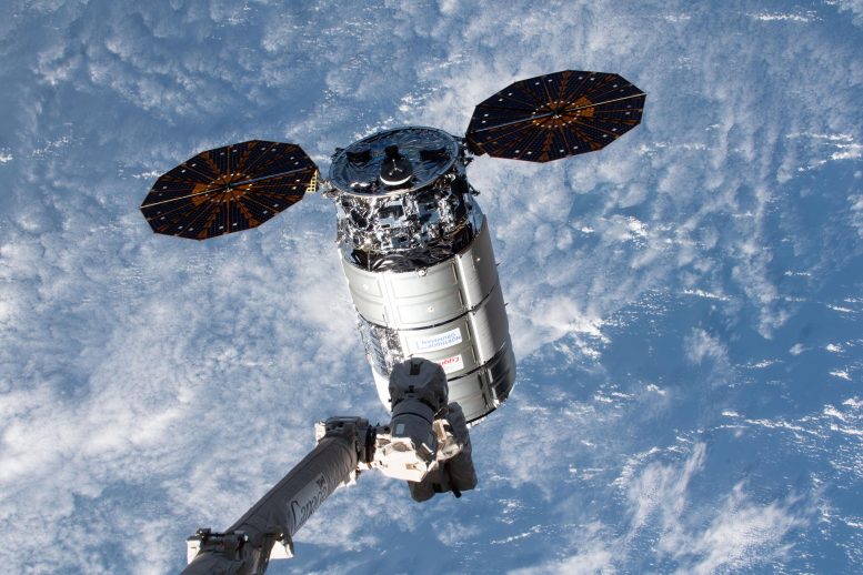 Canadarm2 Robotic Arm Reaches Out Toward Cygnus Space Freighter February 2024