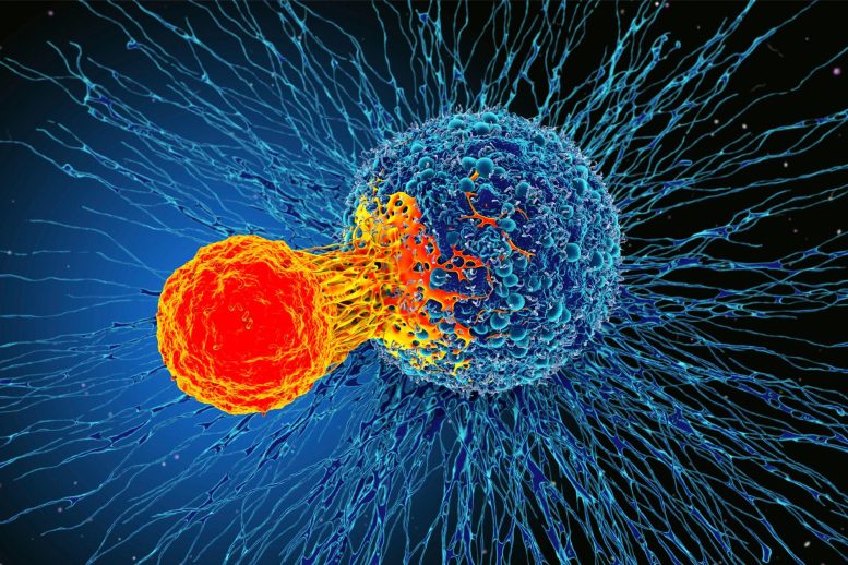 Cancer Cell Immune Cell Illustration
