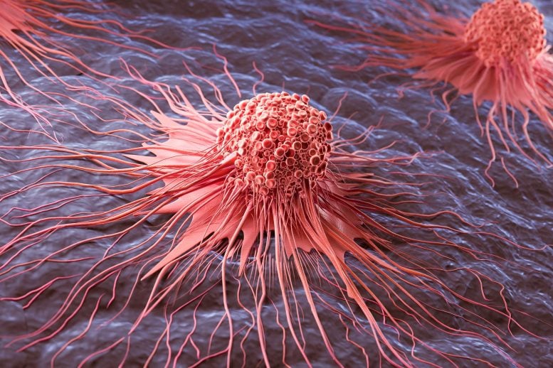 Molecule Discovered To Fuel Skin Cancer and Outsmart the Immune System