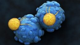 Cancer Cells Attacked by Killer T-Lymphocytes