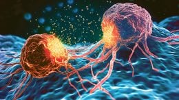 Cancer Cells Close Art Concept