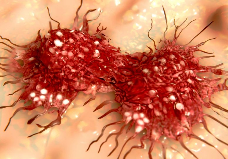 Cancer Cells Dividing Spreading