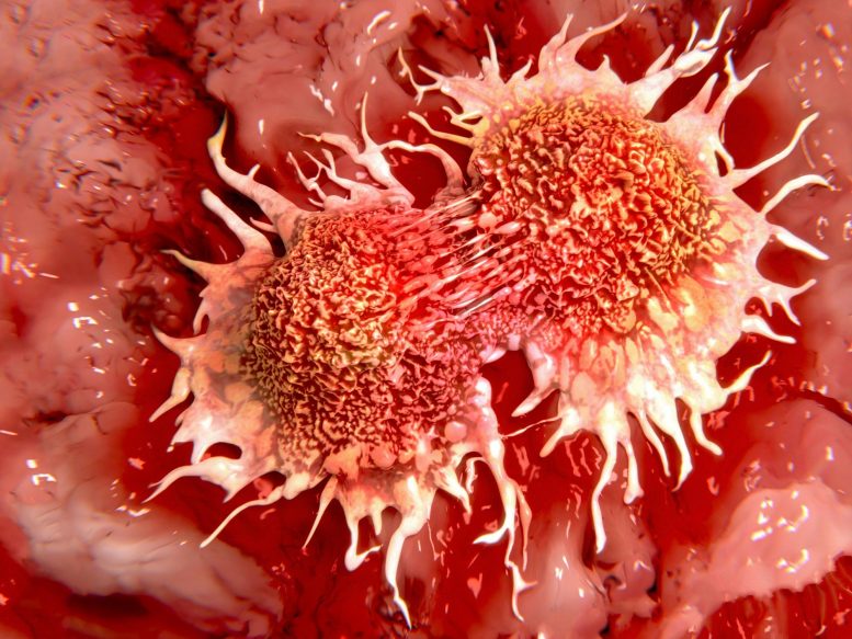 Cancer Cells Illustration