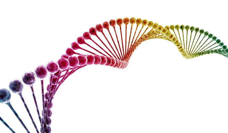 Cancer Drug Inhibits DNA Repair