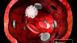 Cancer Fighting Nanoparticles