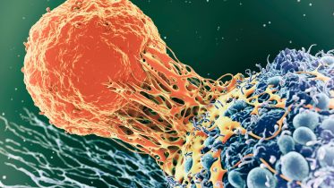 Cancer Immunity Illustration
