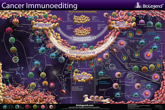 Cancer-Immunoediting-biolegend