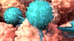Cancer Immunotherapy T Cells
