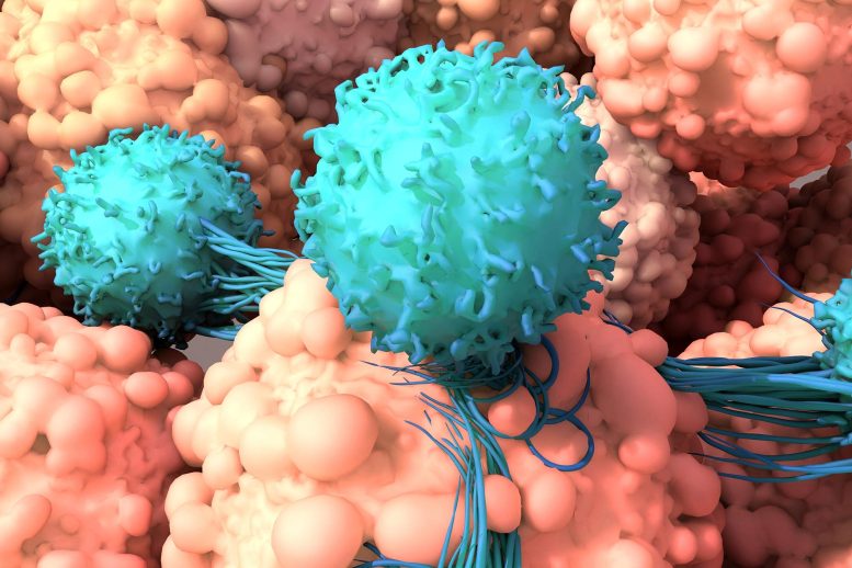 Cancer Immunotherapy T Cells