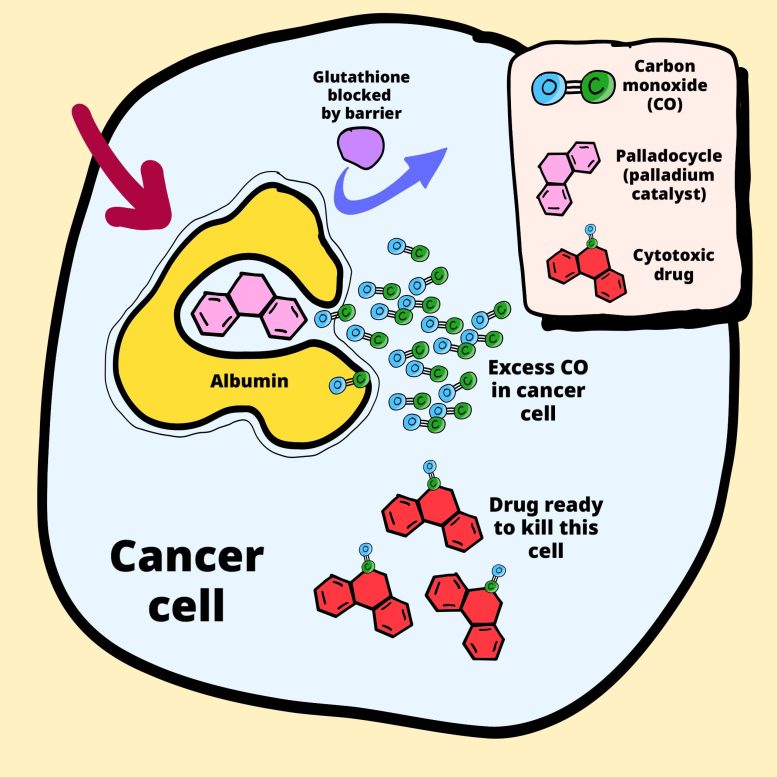 Cancer Killing Drug Made Inside Cancer Cells Using Their Own Excess Carbon Monoxide