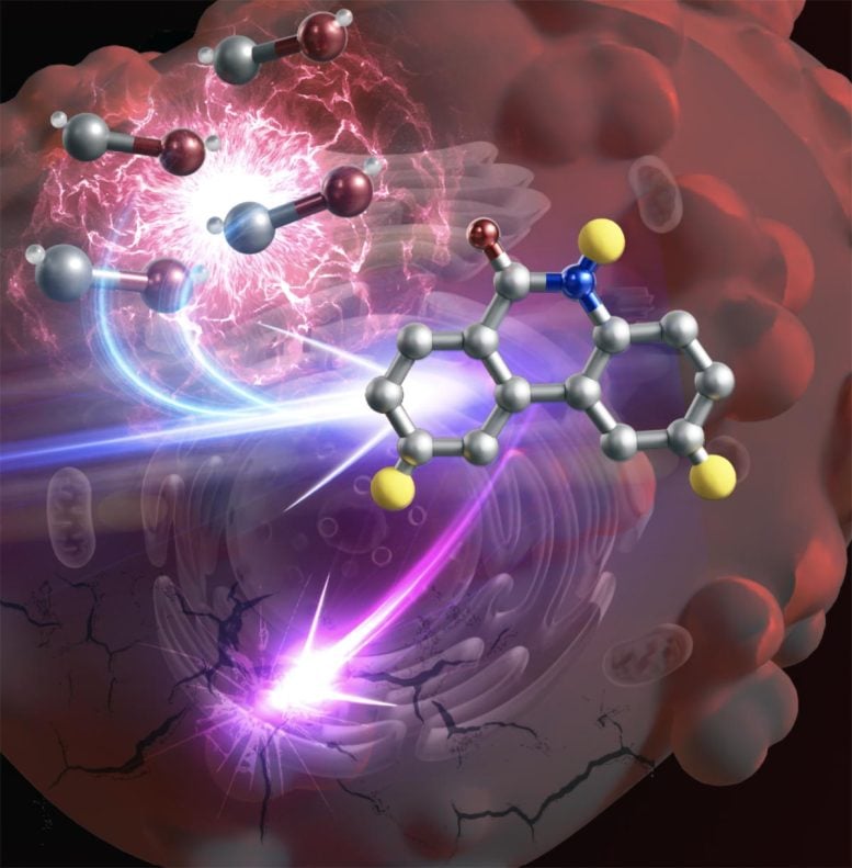 Cancer Killing Drug Made Inside Tumor Cells