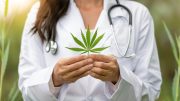 Cannabis Doctor