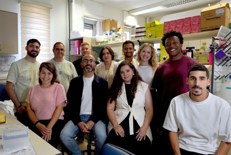 Cannabis Fatty Liver Research Team