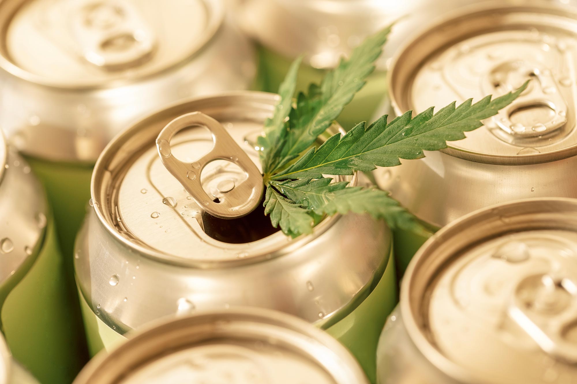 Cannabis Drinks May Offer a New Path to Drinking Less Alcohol
