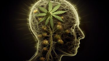 High Risk: Cannabis Use Disorder’s Link to Increased Risk of Heart ...