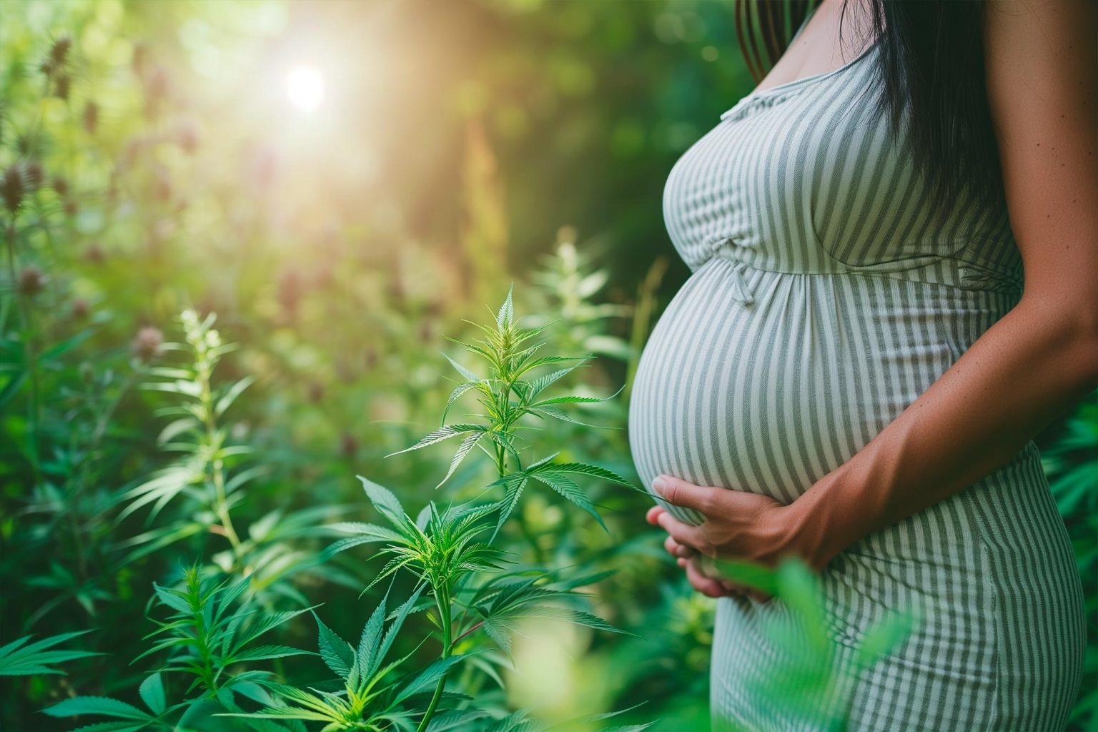 The Hidden Dangers Of Prenatal Cannabis Revealed the-hidden-dangers-of-prenatal-cannabis-revealed