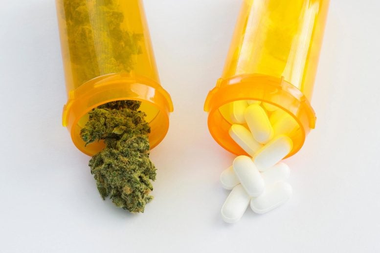 Cannabis and Medication Pills