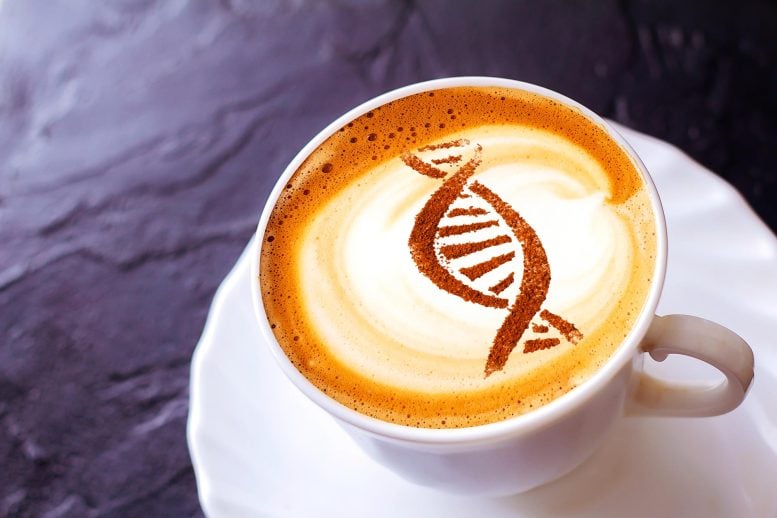 Cappuccino Coffee DNA Genetics
