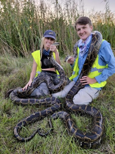 Python Buried How Science Is Helping Florida Win the War Against Invasive Pythons