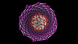 Carbon Nanotube COVID-19 Detector