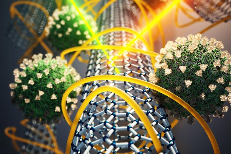 Carbon Nanotube SARS-CoV-2 Sensor