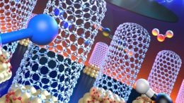 Carbon Nanotubes Growing From Catalytic Nanoparticles